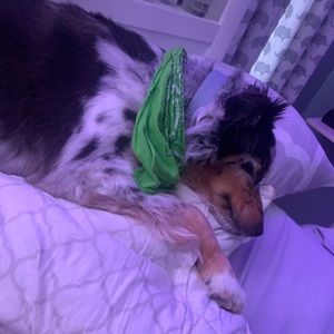 Meet your Posher, Kayla